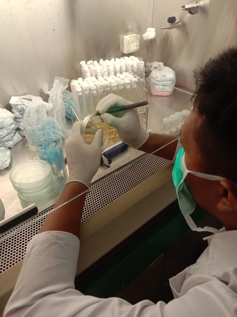 ANALISIS TOTAL BAKTERI ASAM LAKTAT