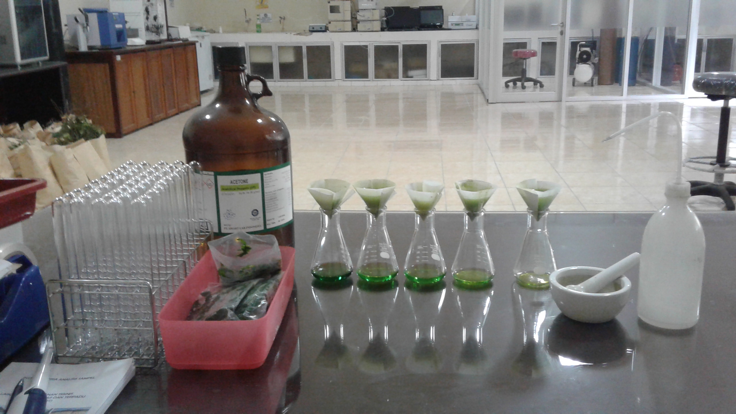 Analisis Klorofil Daun Sengon